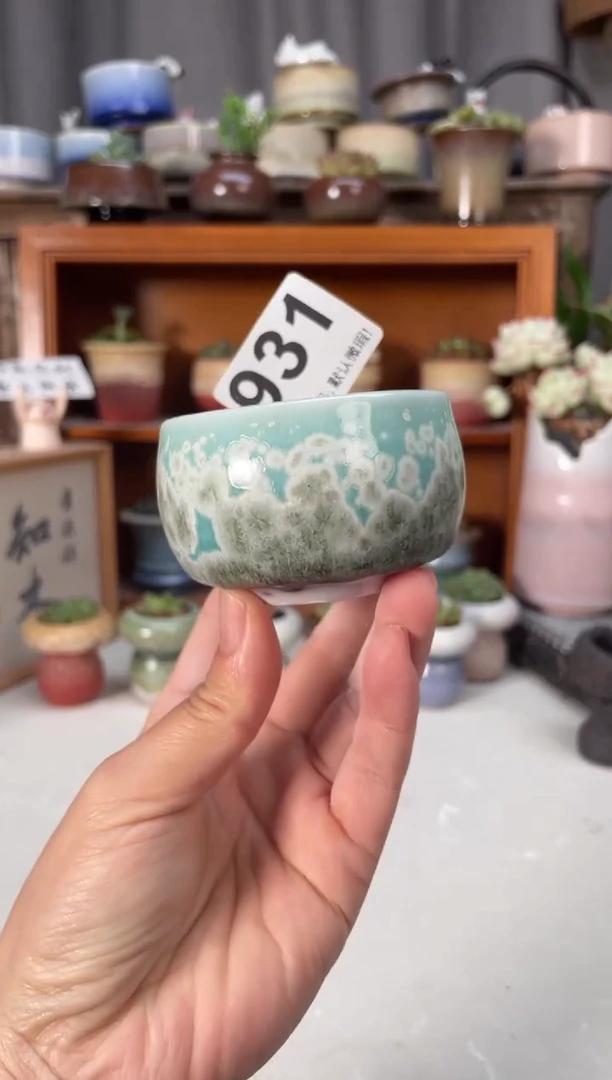 瓷片931知木小芳花盆直播编号