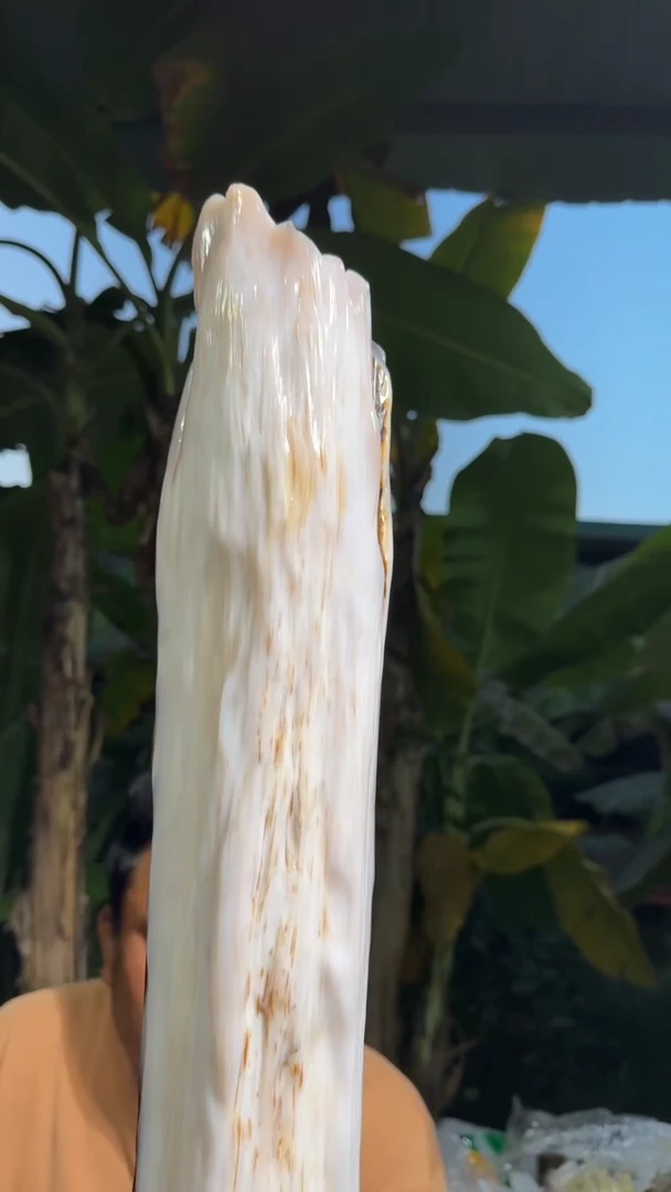 【闪购商品】硅化玉珠宝奇石未镶嵌拍一发一