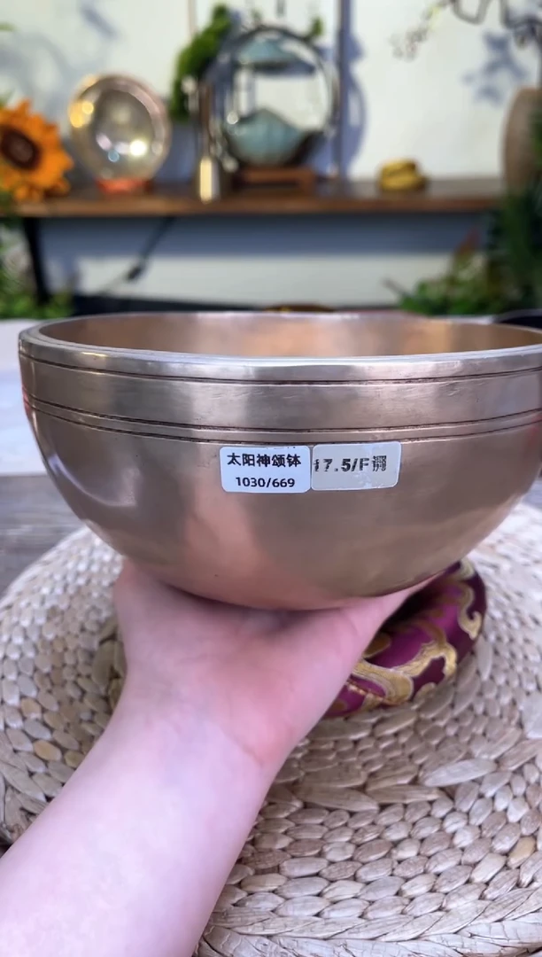 【闪购商品】太阳神口径17.5CM-F调(无配件)