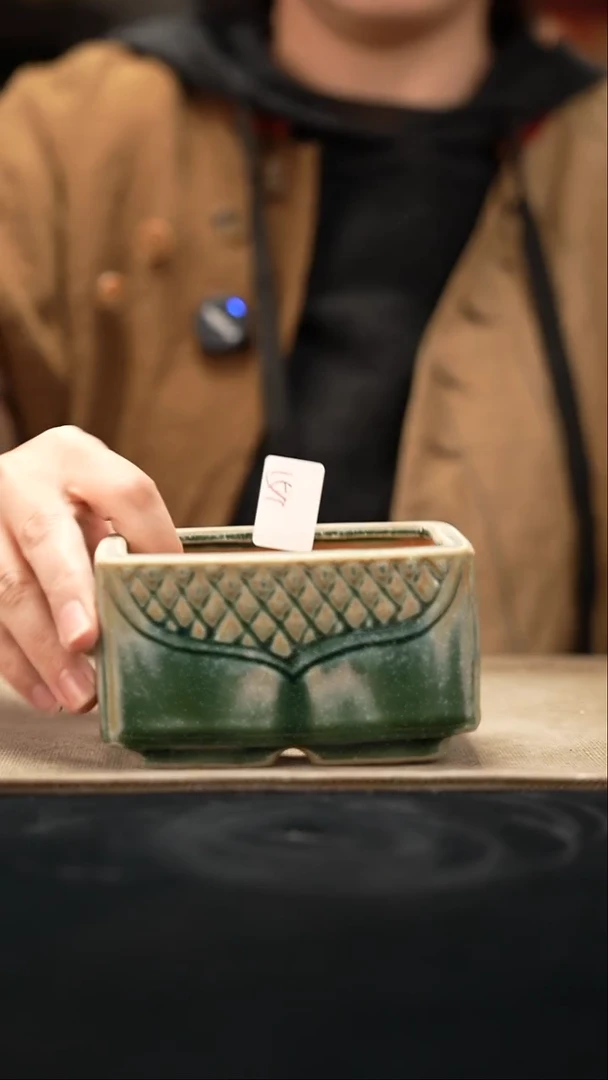 口径花盆-11-27-159