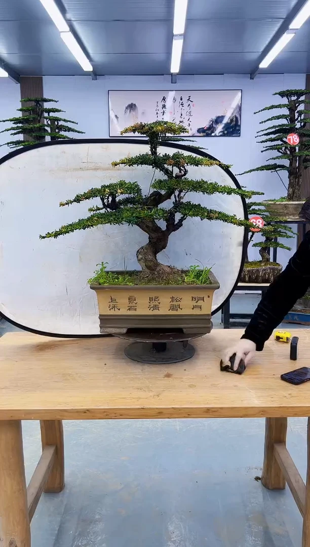 以实际为准0000000