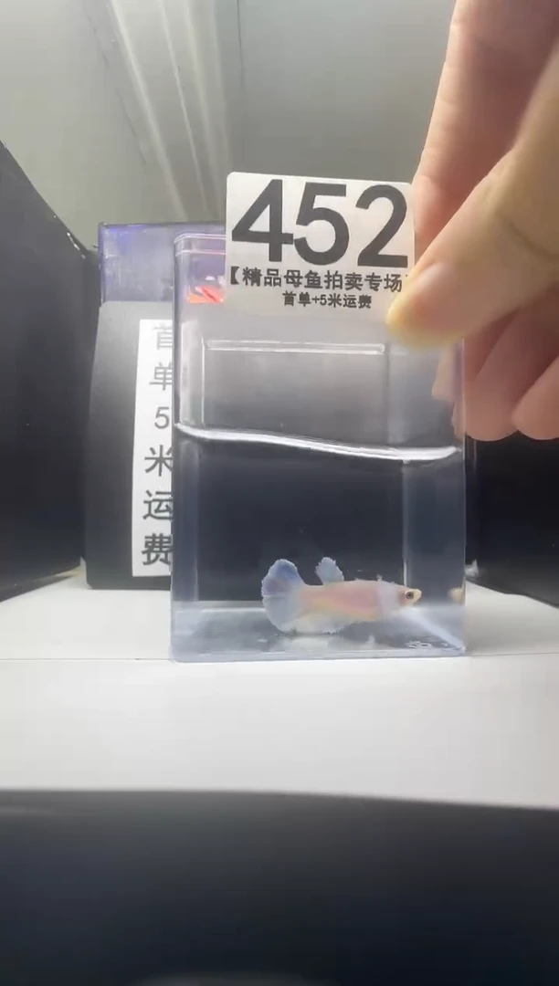 斗鱼母鱼编号：452