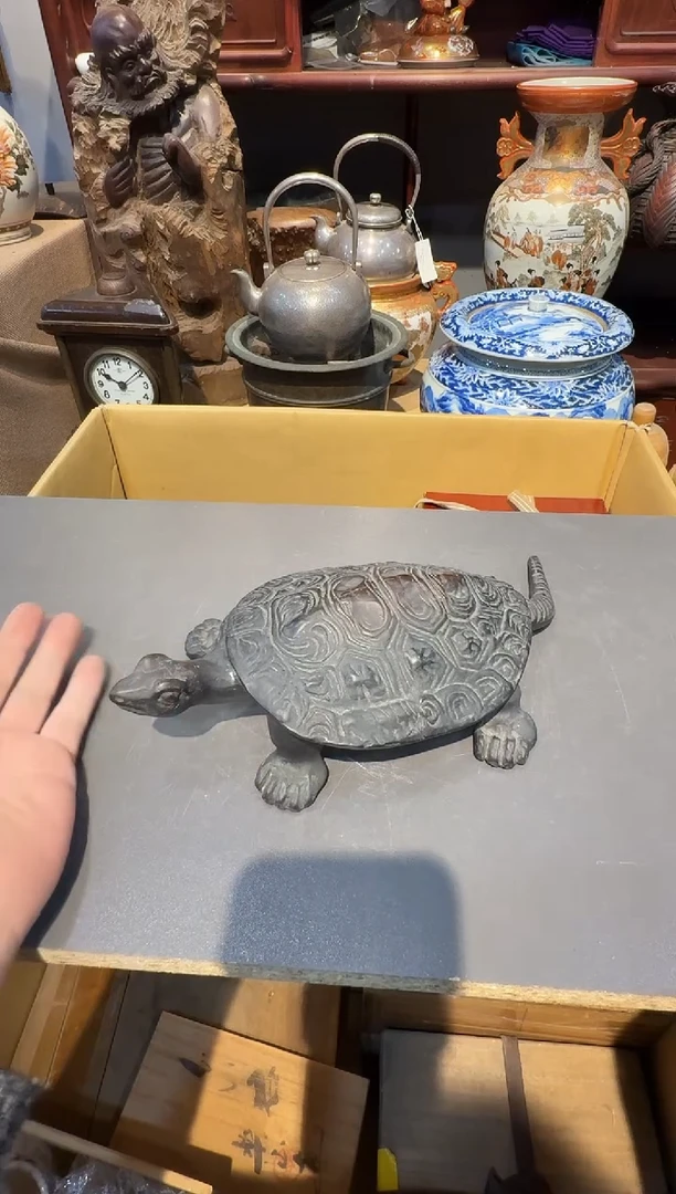 乌龟置物啊啊啊啊