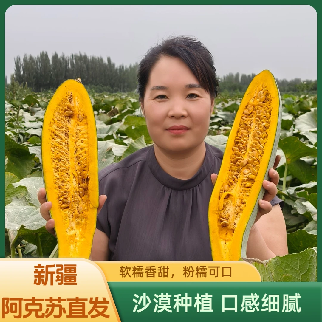 【新疆直发贵族丑南瓜】贵族丑南瓜软糯粉面香甜板栗味天山雪水灌溉
