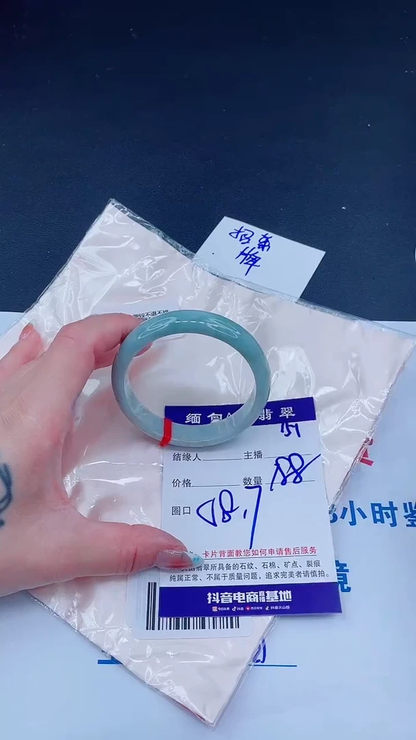 未镶嵌手镯翡翠1