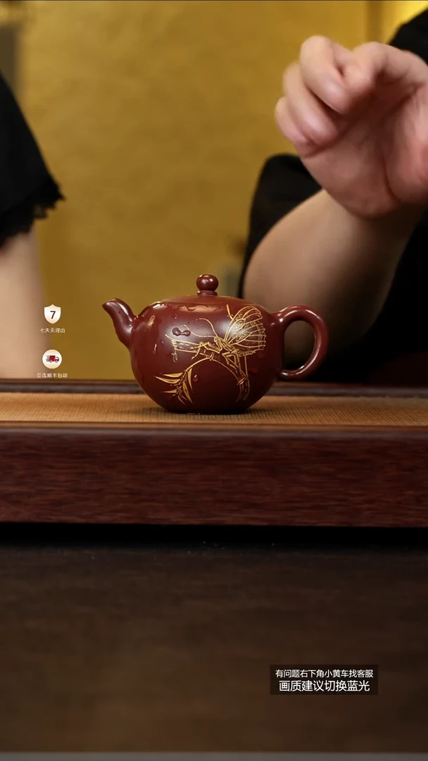 茶壶紫砂范家壶庄原矿大生龙血砂掌中珠PL008