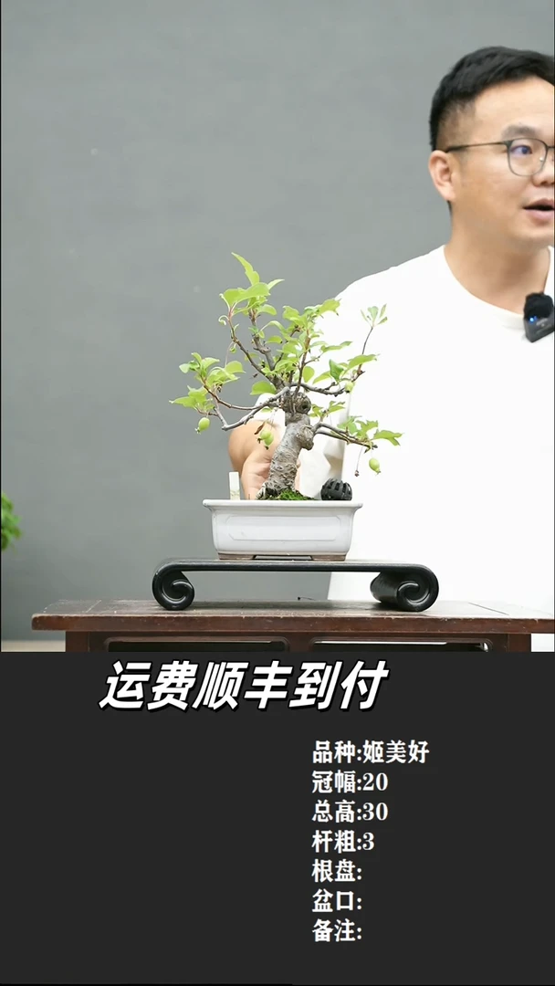 21 姬美好