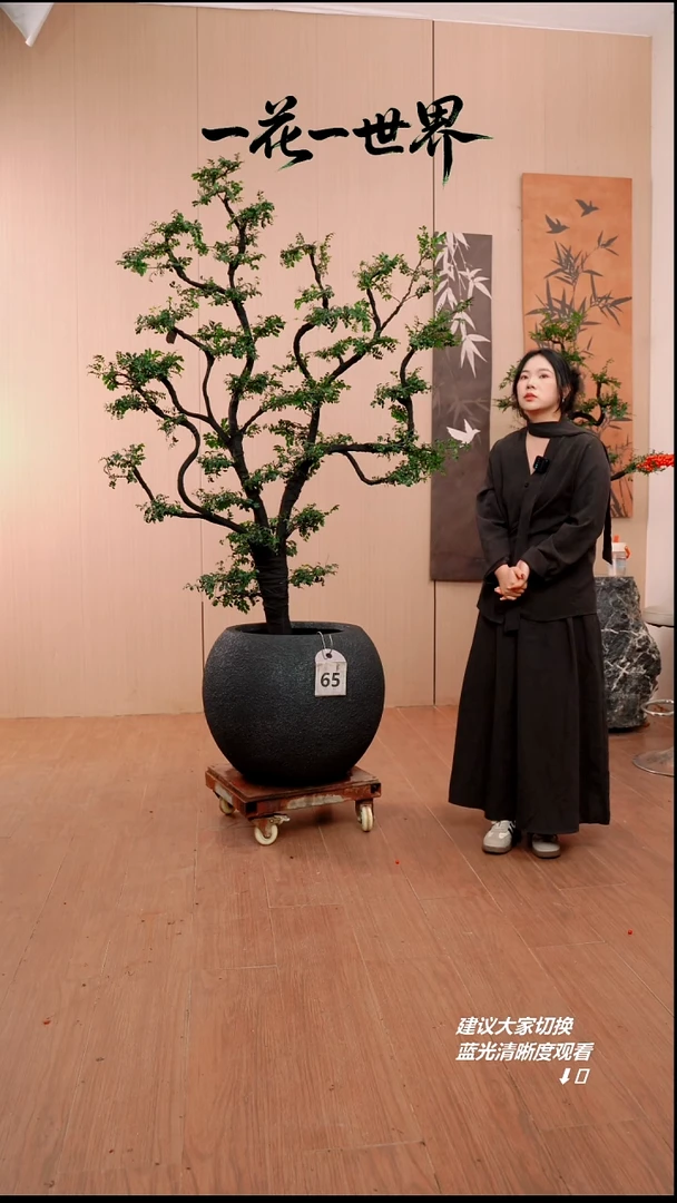 完全开放企*65号链接