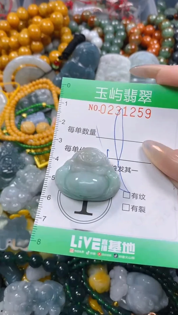 颈饰未镶嵌翡翠闪购0231259