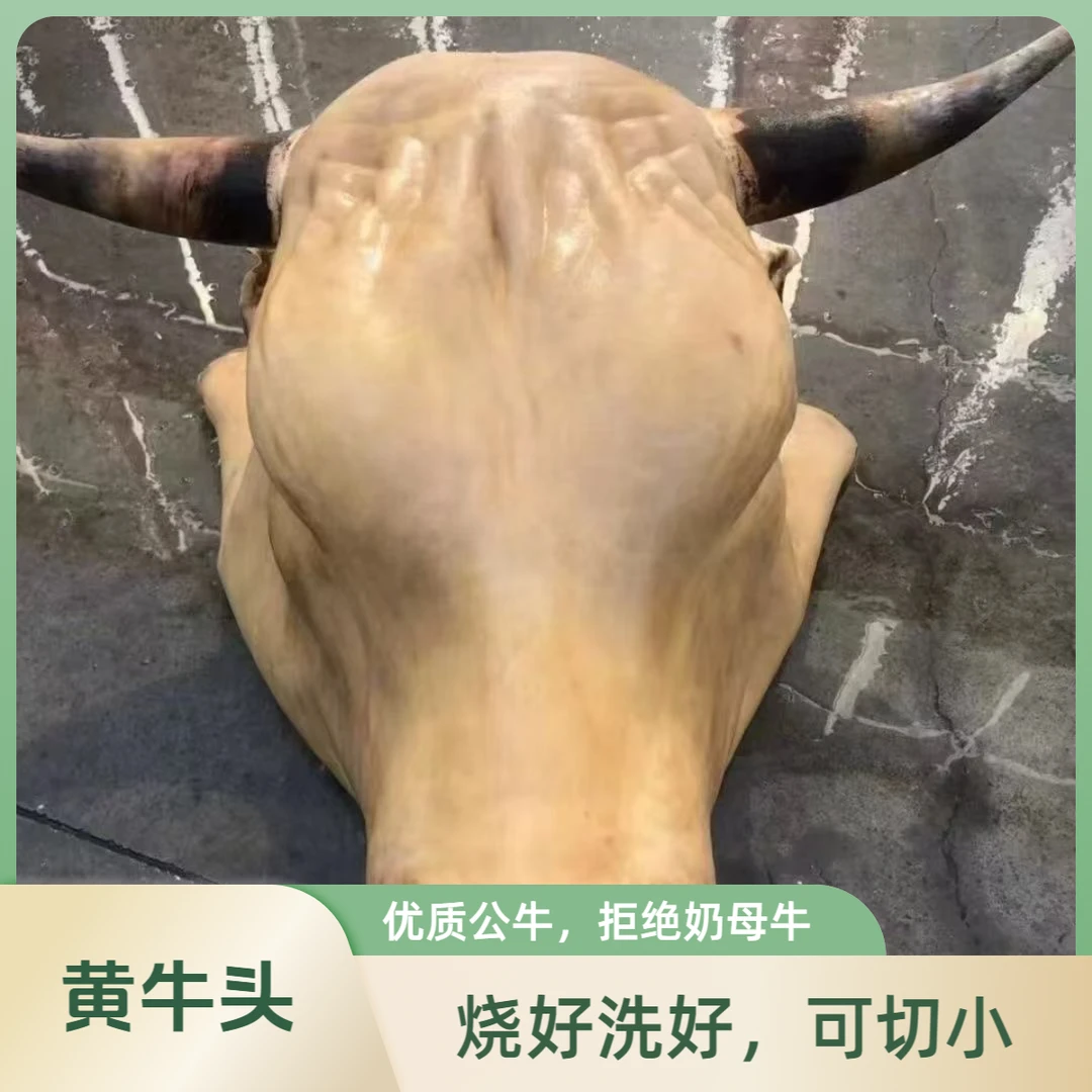 【牛头】团堡散养黄牛牛头自家散养免费送货到家