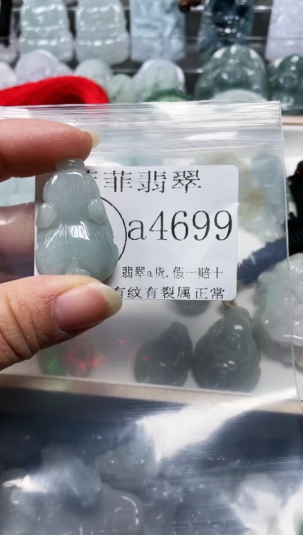 【闪购商品】翡翠颈饰未镶嵌闪购4699