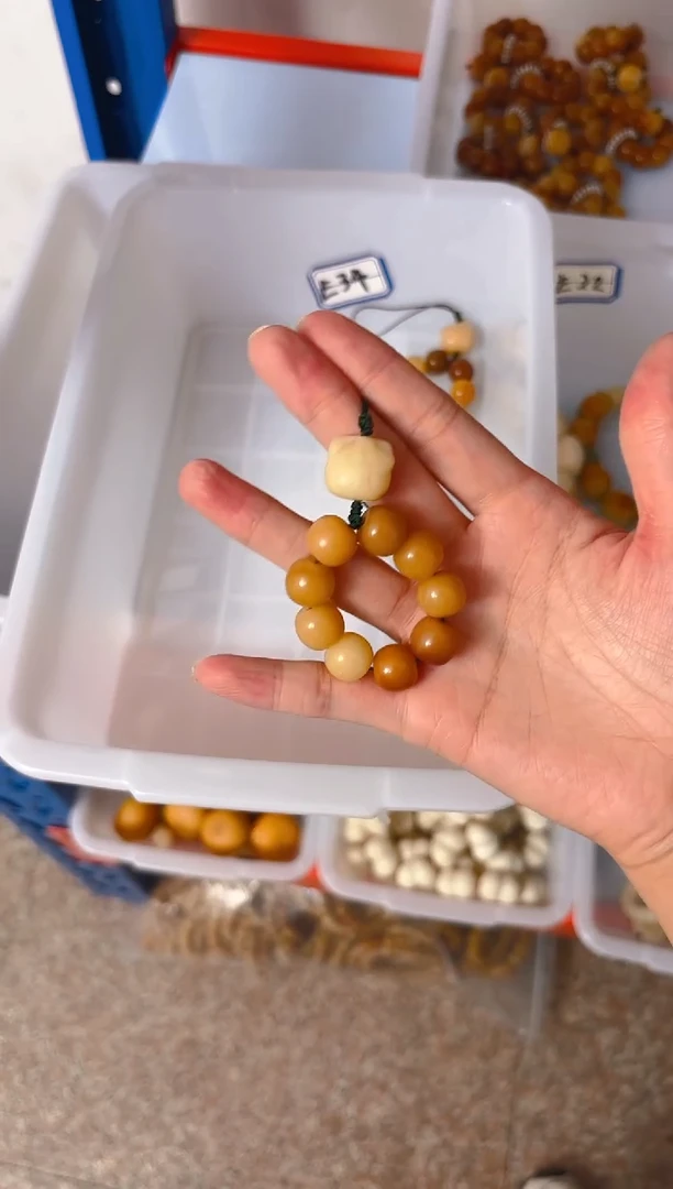 吊坠菩提根/象牙果E34   E34