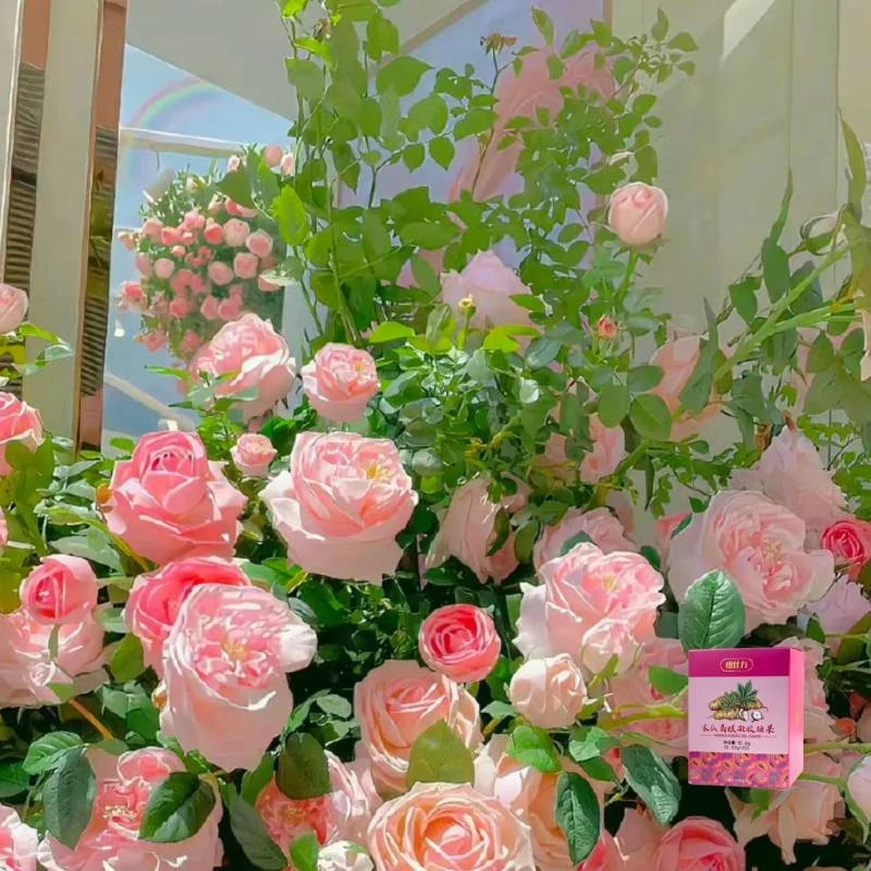 木瓜葛根凝胶糖果