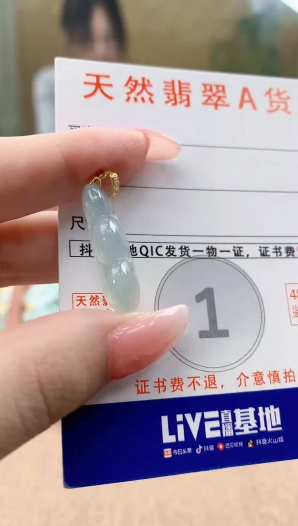 颈饰未镶嵌翡翠天然A货翡翠挂件