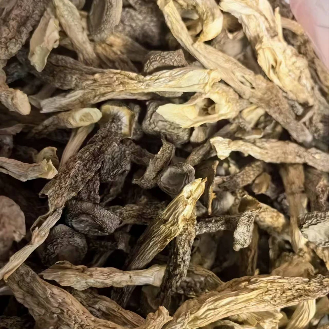 甄选恩施高山  干鹿茸菇净重250克