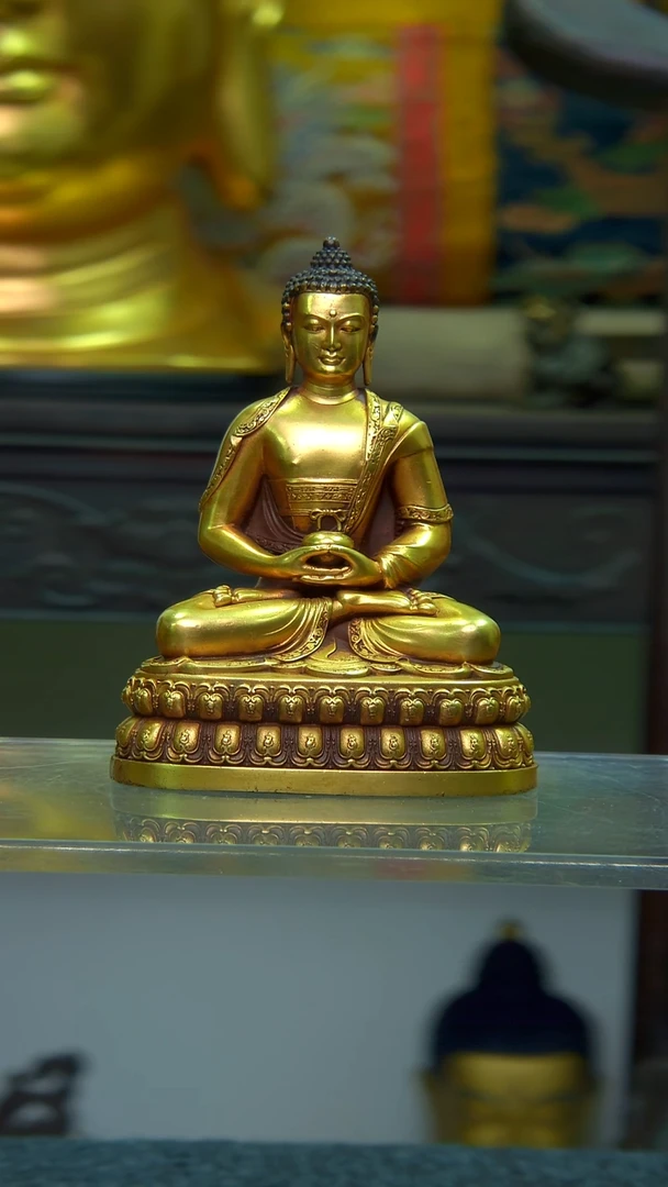 【闪购商品】11111111111111111