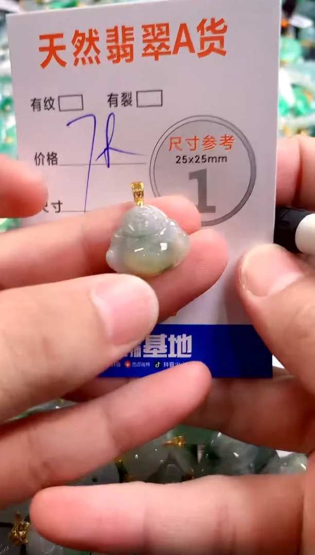 颈饰未镶嵌翡翠13004481