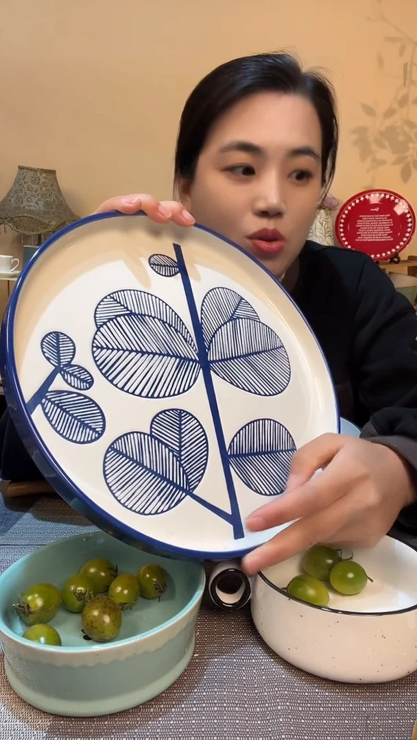 瓷片11英寸盘 微瑕介意勿拍