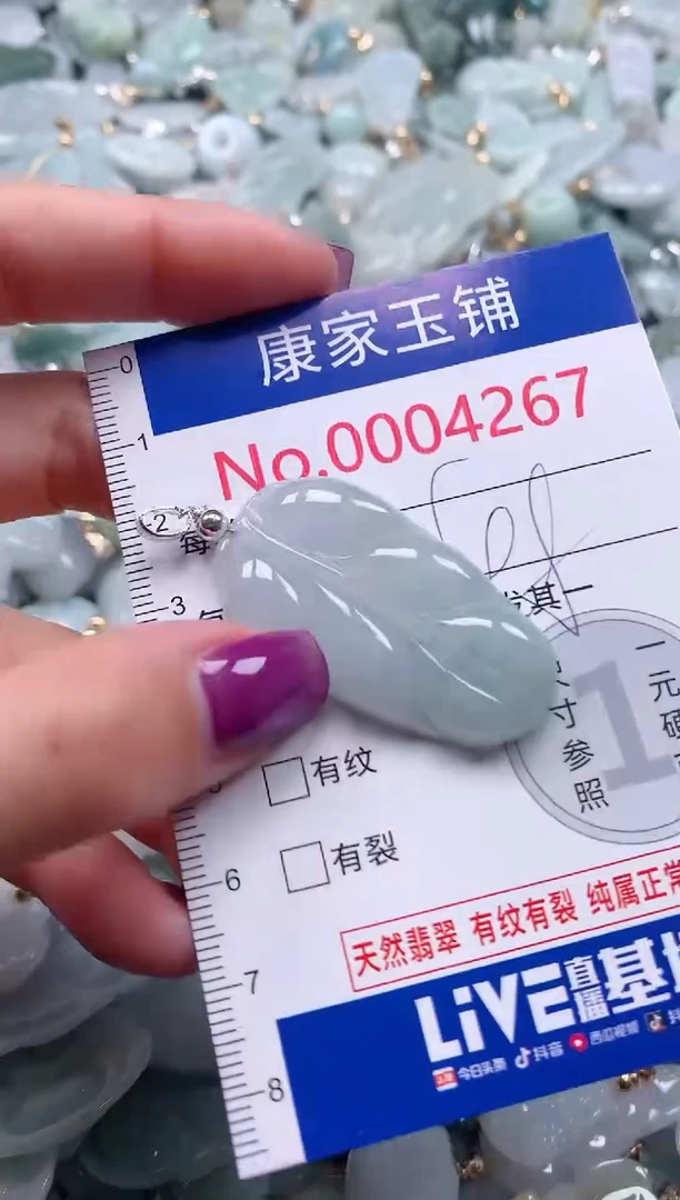 颈饰未镶嵌翡翠4267