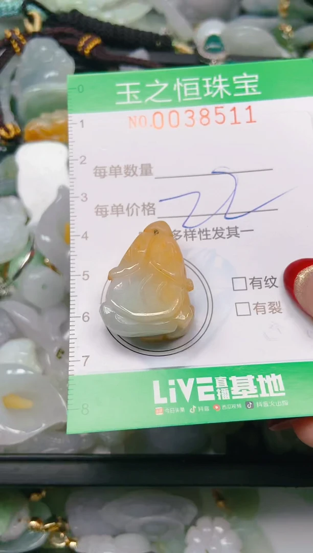 【闪购商品】翡翠颈饰未镶嵌闪购0038511