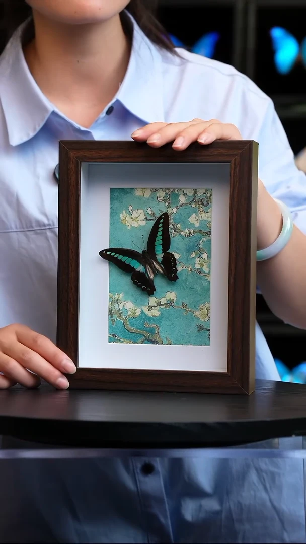 青凤蝶8寸复古框腊梅款