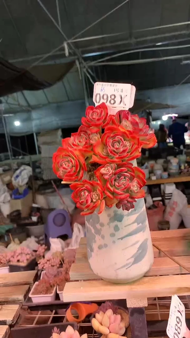 【闪购商品】098XXX