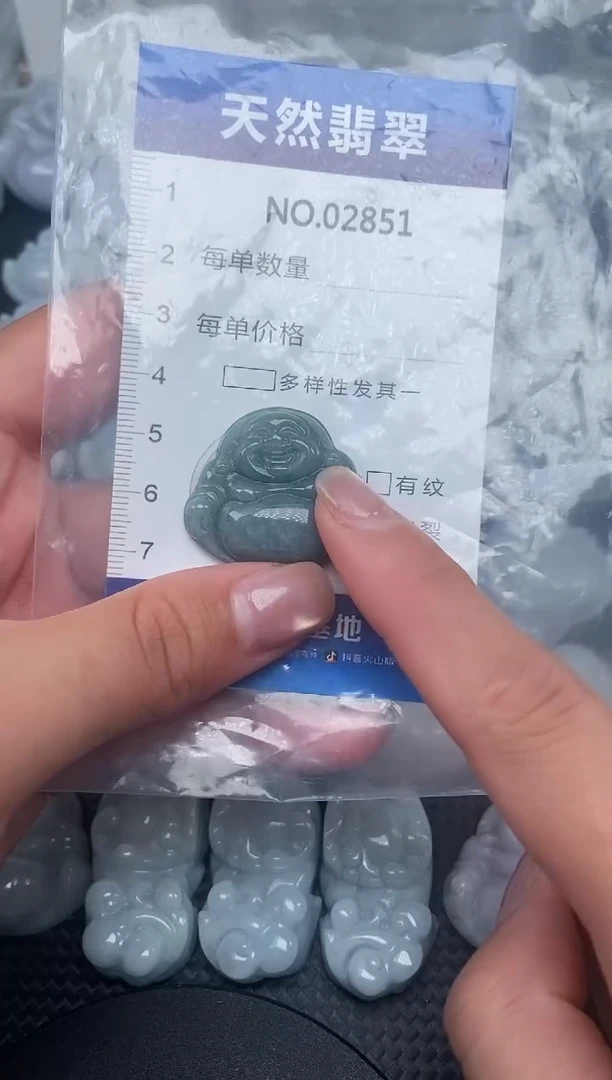 颈饰未镶嵌翡翠纯天然A货翡翠