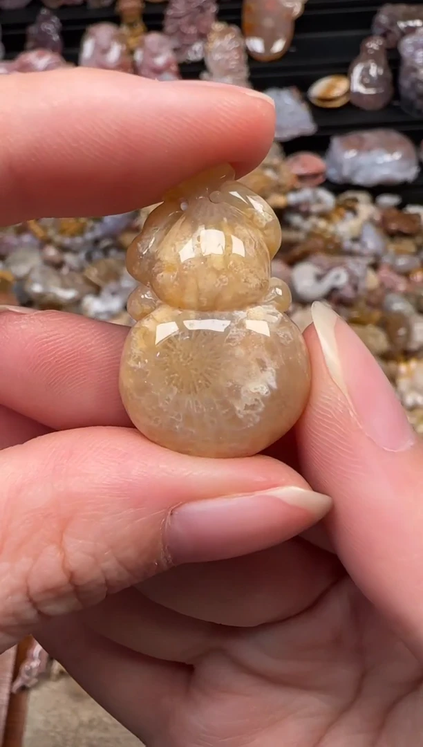 颈饰未镶嵌硅化珊瑚（珊瑚玉）675