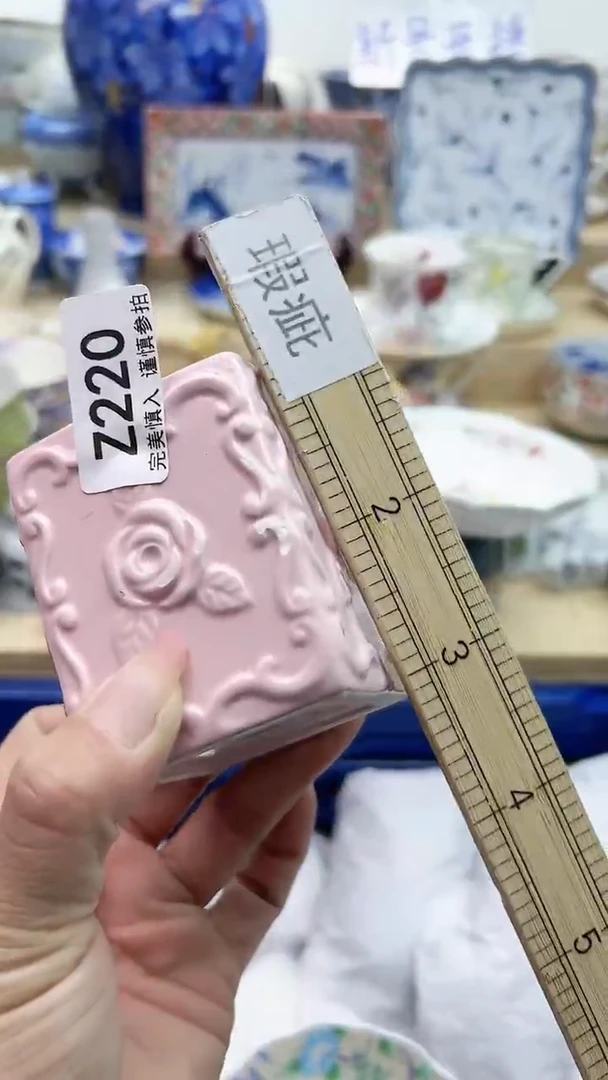 【闪购商品】瓷片220