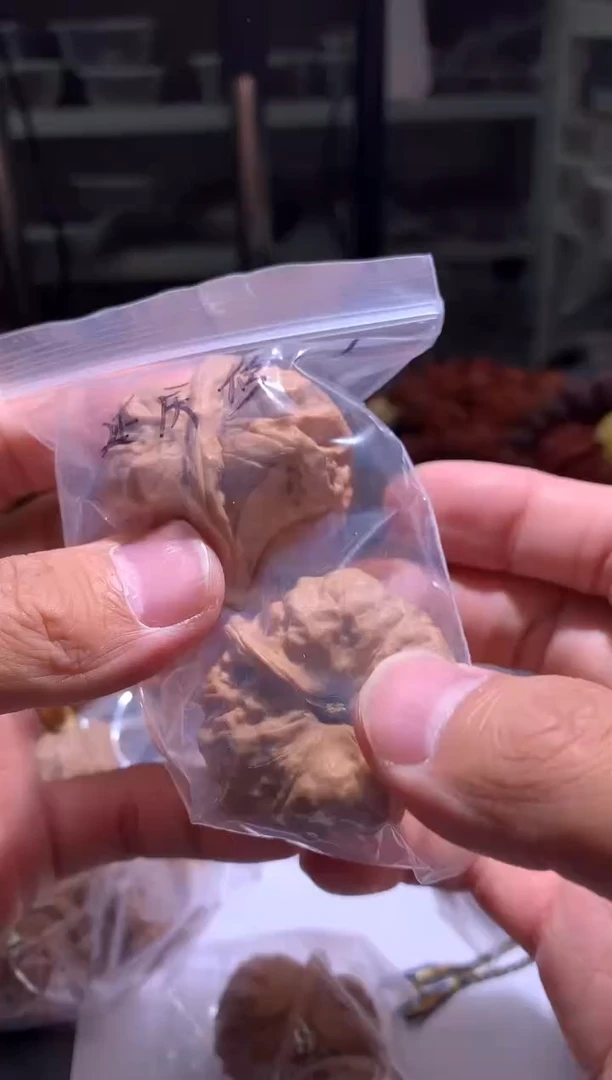 金刚菩提手串199