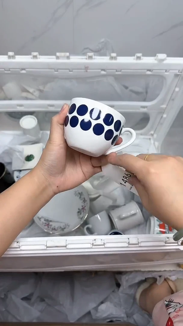 【闪购商品】1486回流瓷器默认微瑕，18.8包邮