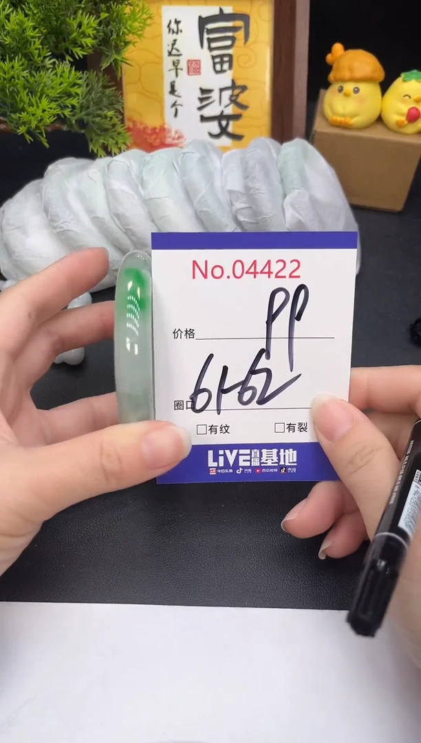 未镶嵌手镯翡翠4422