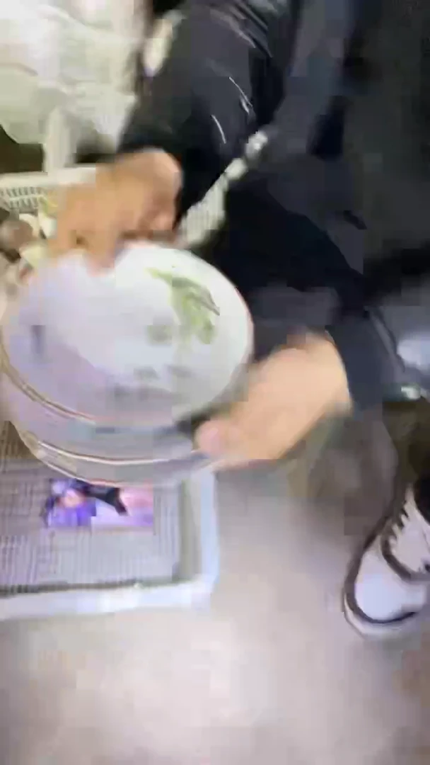 B55景德镇高端瓷器