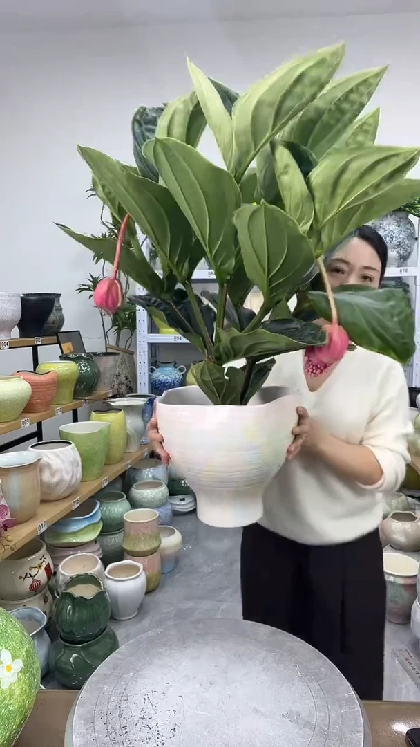 11.21陶瓷花盆直播链接高. 26     口27