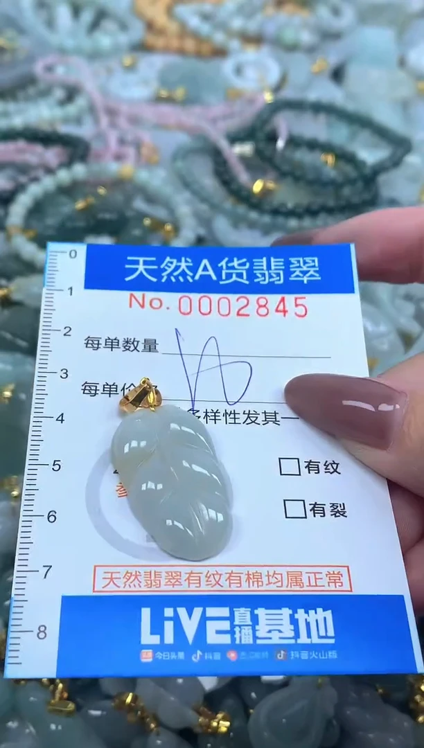 颈饰未镶嵌翡翠净货挂件-2845
