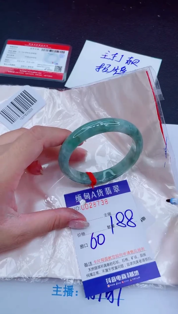 未镶嵌手镯翡翠