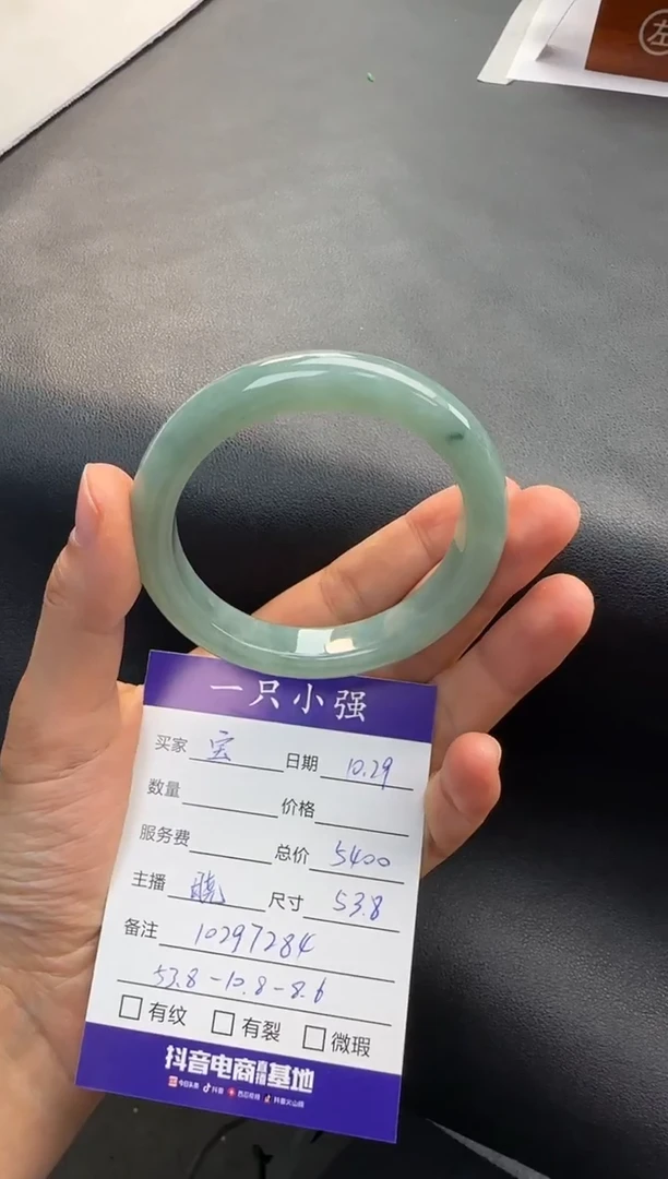 未镶嵌手镯翡翠10297284