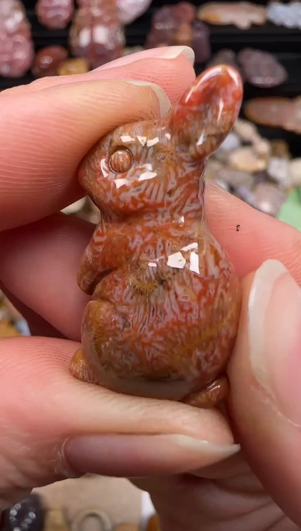 硅化珊瑚（珊瑚玉）未镶嵌颈饰374