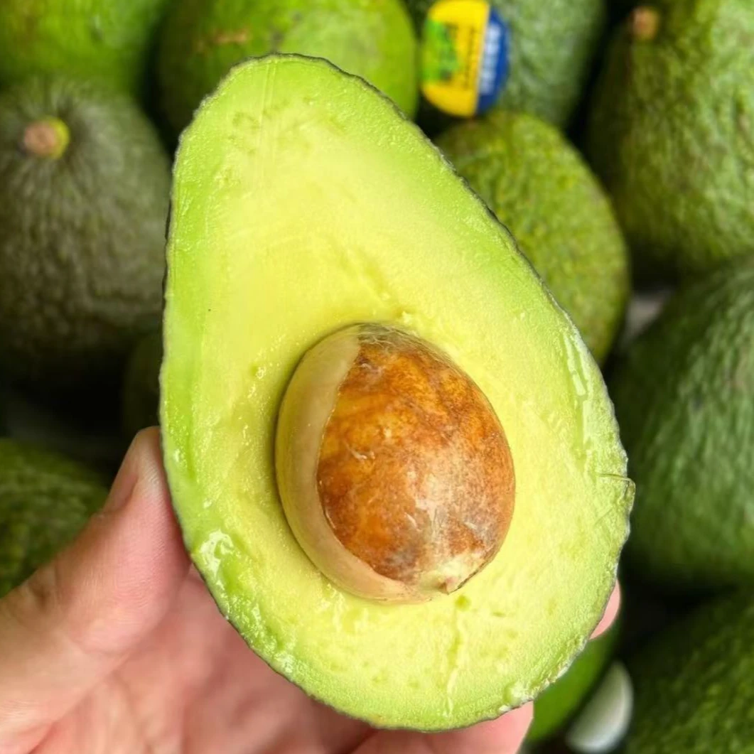（复购专享）云南孟连新鲜哈斯牛油果当季整箱水果坏果包赔无黑丝