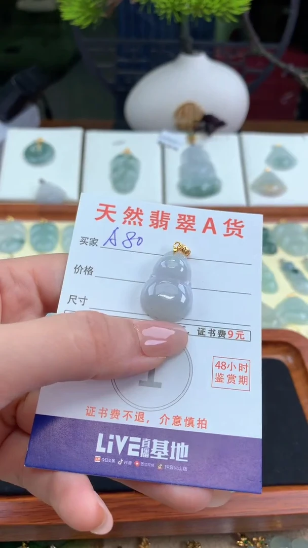 颈饰未镶嵌翡翠天然A货翡翠挂件