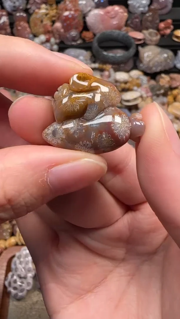 颈饰未镶嵌硅化珊瑚（珊瑚玉）595