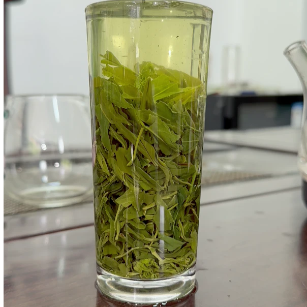 信阳浉河区高山大叶口粮茶  双十一活动福利