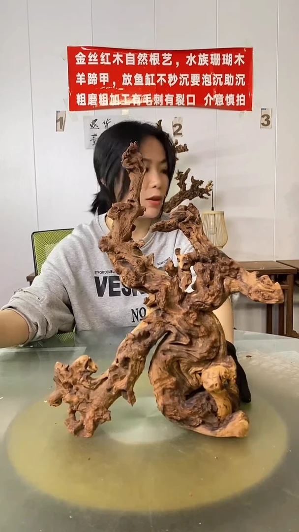 木雄**河金丝红木 羊蹄甲