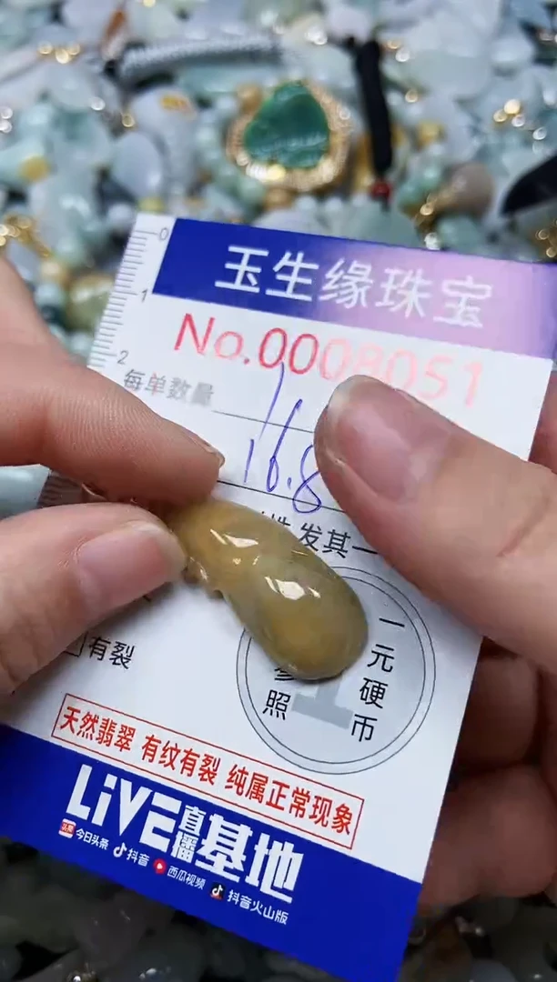 【闪购商品】翡翠颈饰未镶嵌闪购00008051