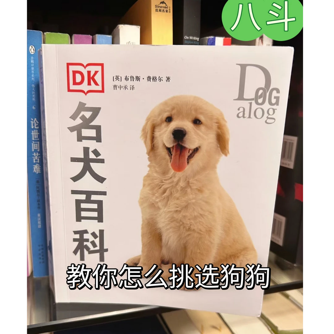 八斗教你怎么挑选狗狗-德善