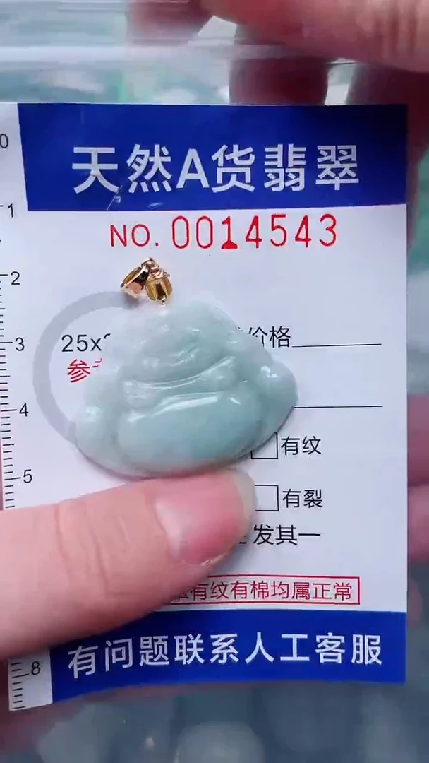 翡翠未镶嵌吊坠(赠链)1