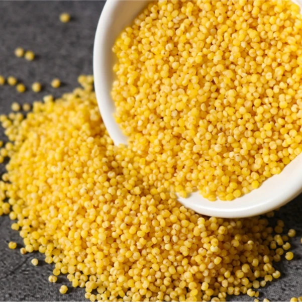 鹦鹉粮食黄谷子5斤