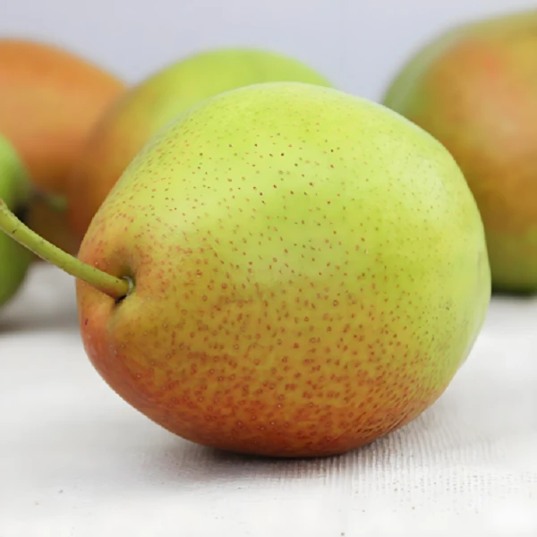 脆甜爽口红香酥梨3/5/9斤