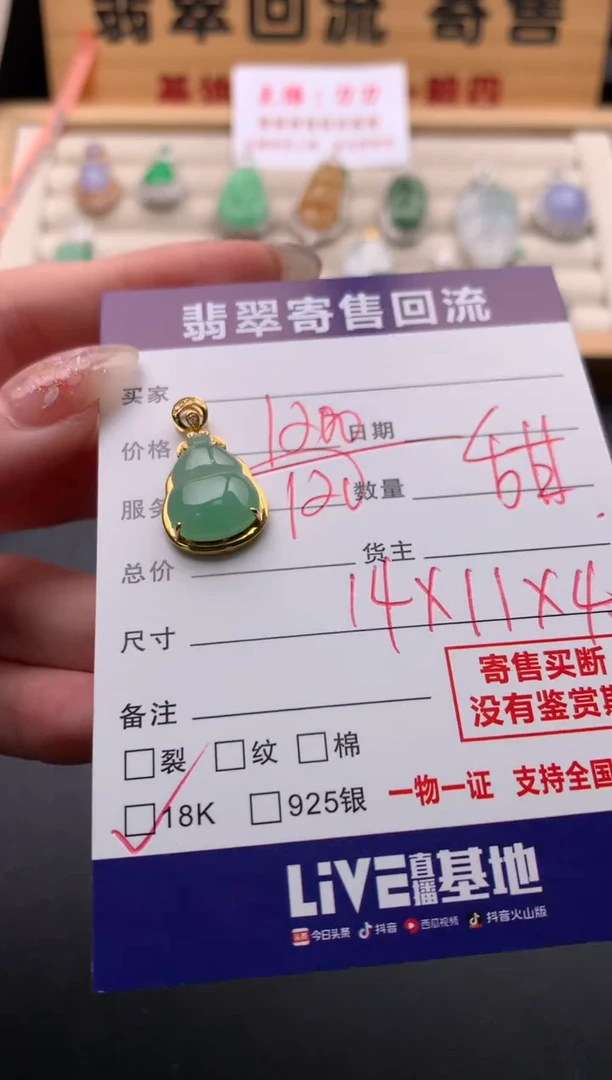 翡翠18K金镶嵌颈饰10133808