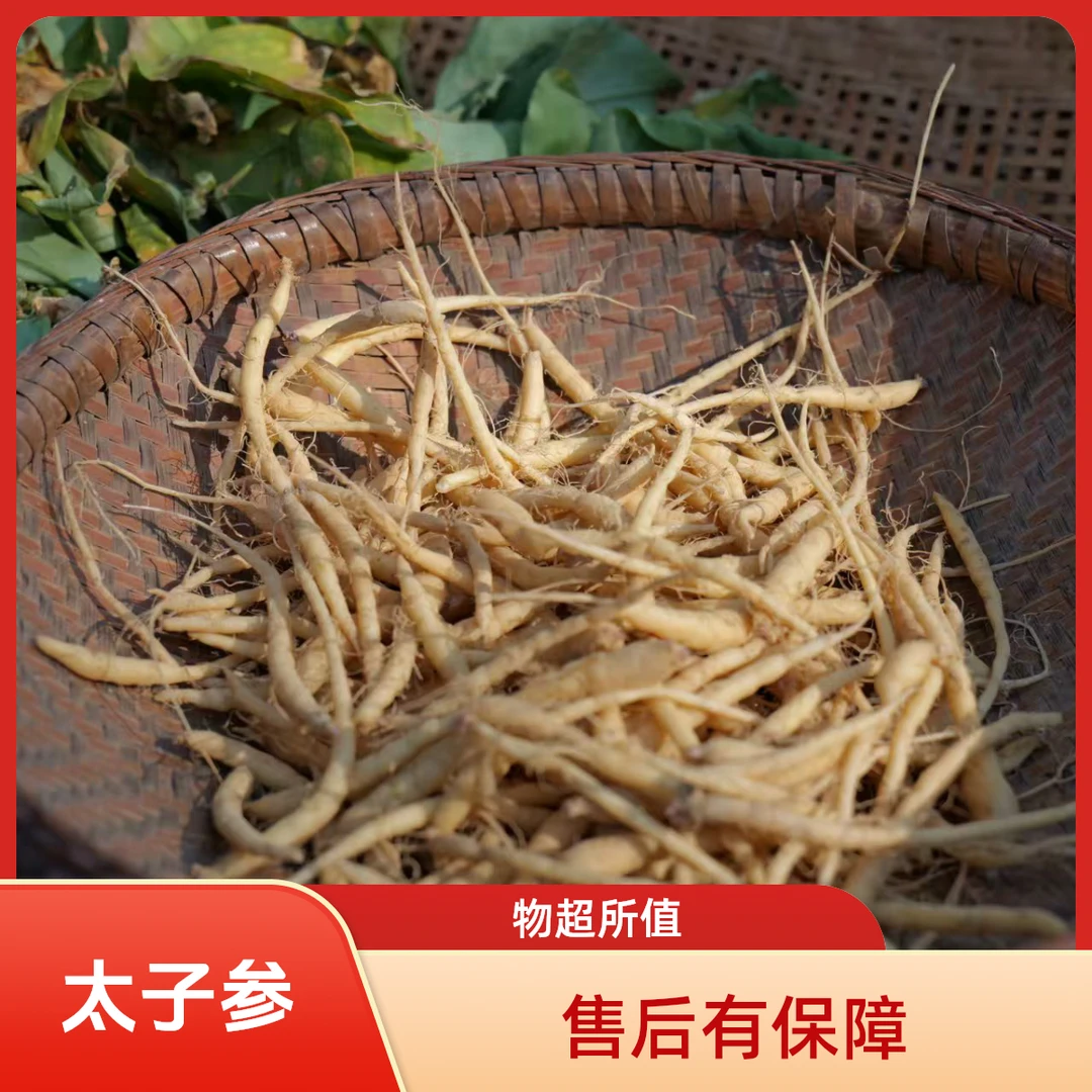 贵州高山太子参  精选颗粒饱满无硫干货太子参可煮水煲汤泡水煮粥